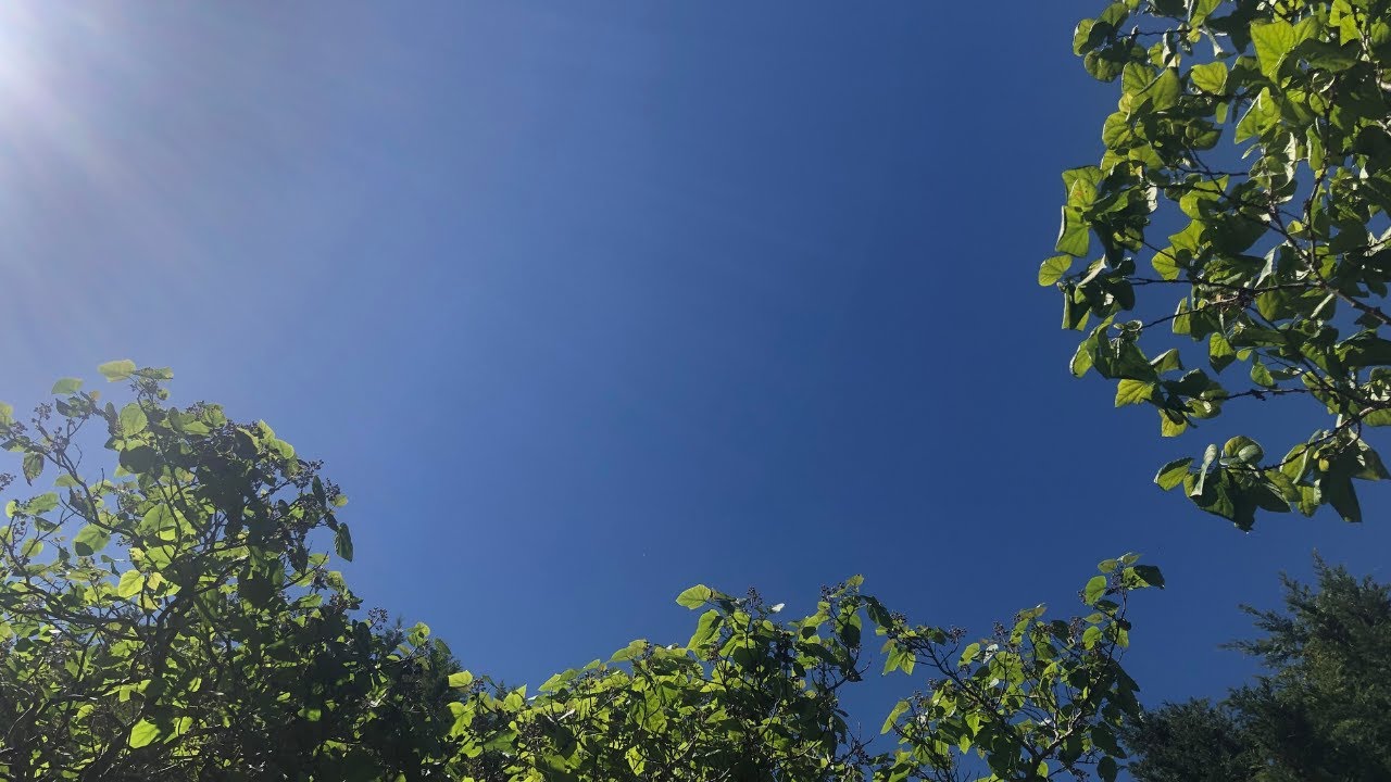 playlist for when june breeze is hitting your naked skin