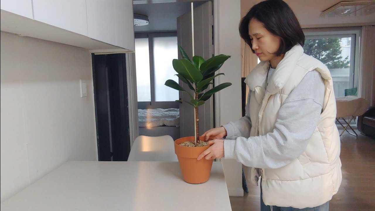 미니멀 라이프 = 절약이 아니다