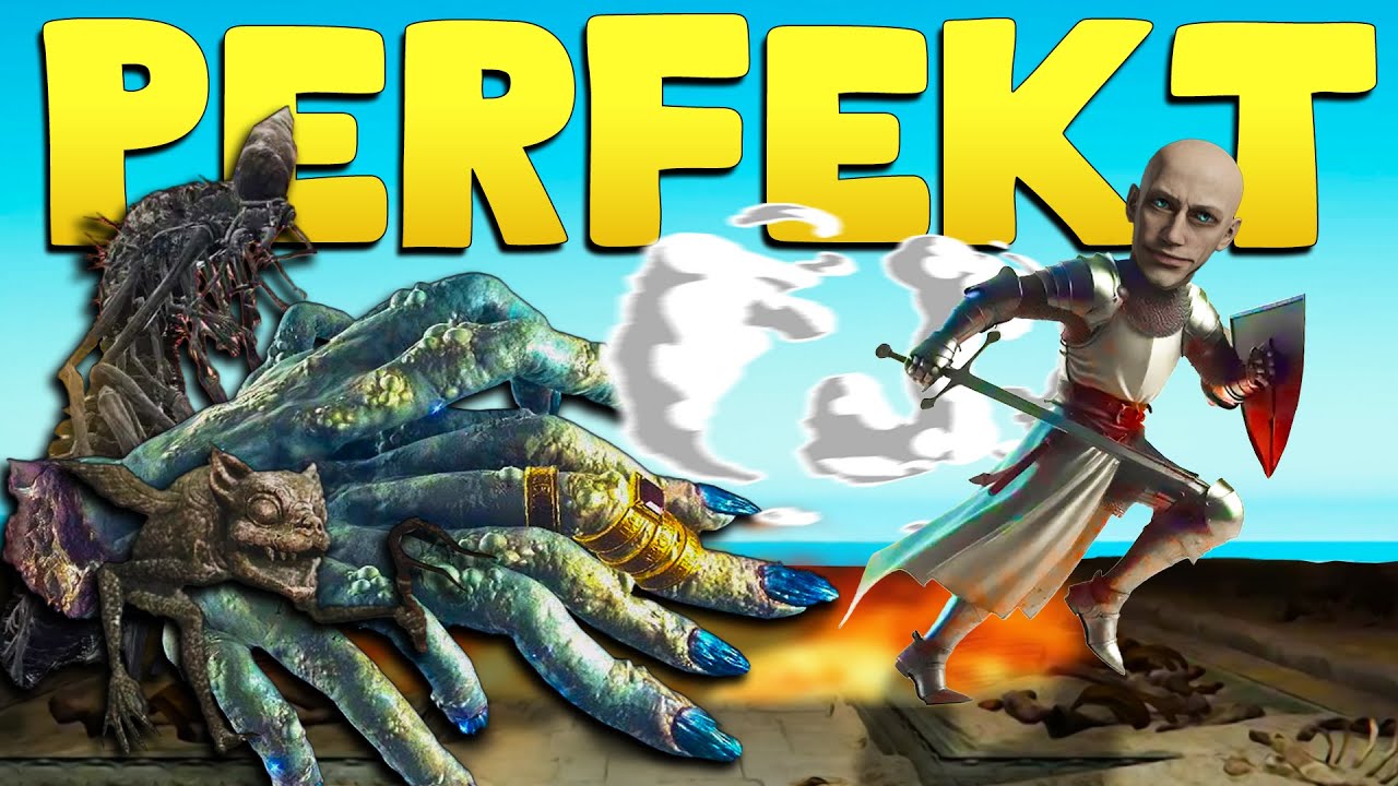 Ich hatte das PERFEKTE RANDOMIZER RACE