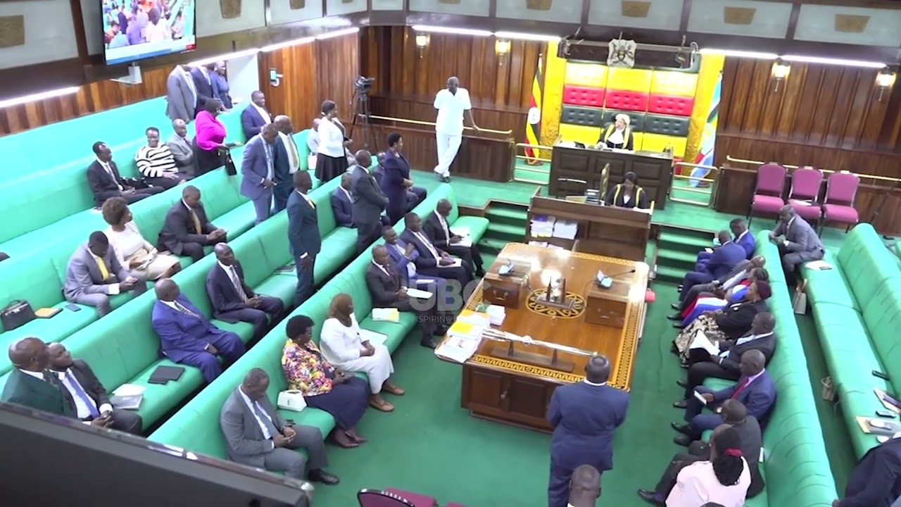 Parliament Urges Government to Recognize Sickle-Cell as Non-Communicable Disease