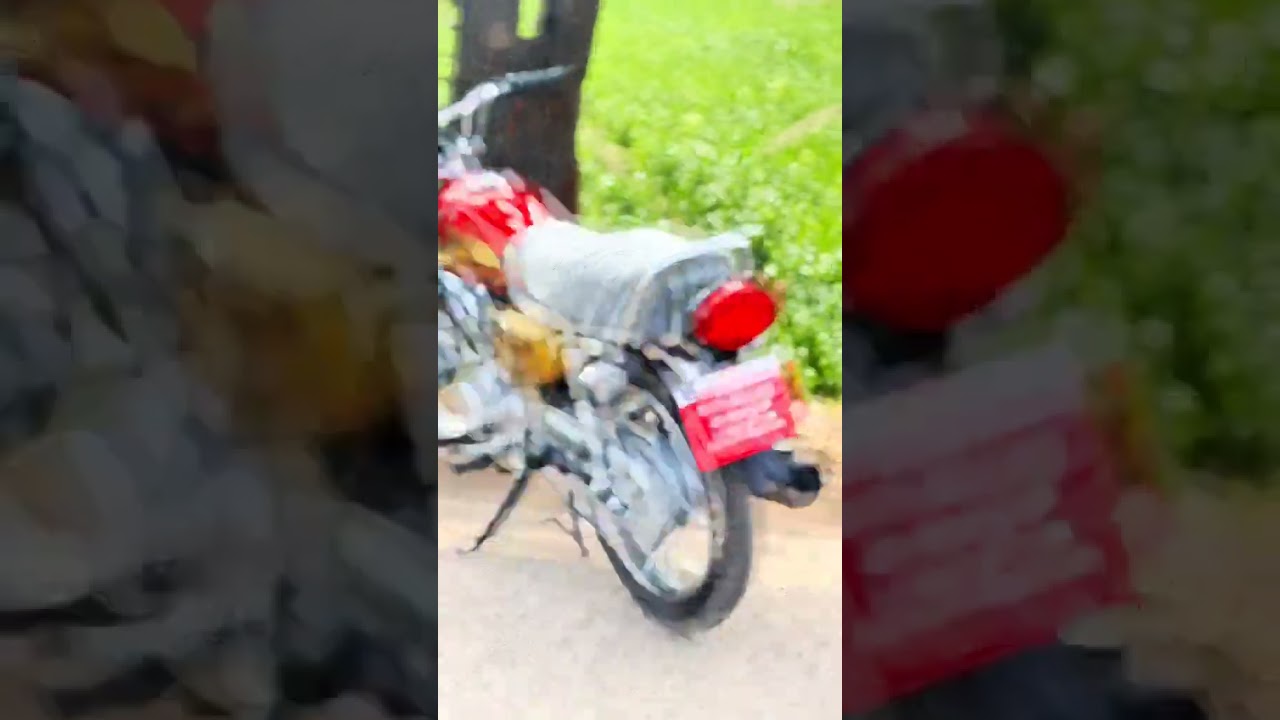New Honda 125 gold edition 2025 #foryou
