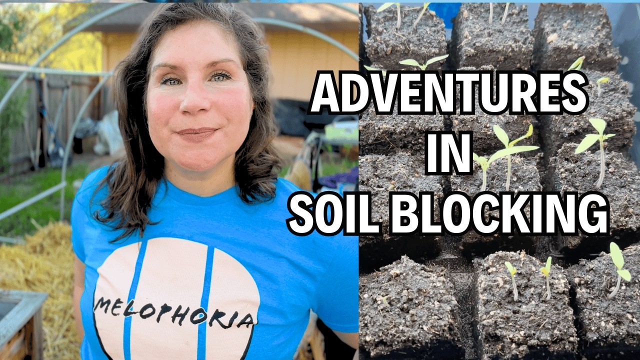 The Best Kept Secret in Seed Starting? Soil Blocking