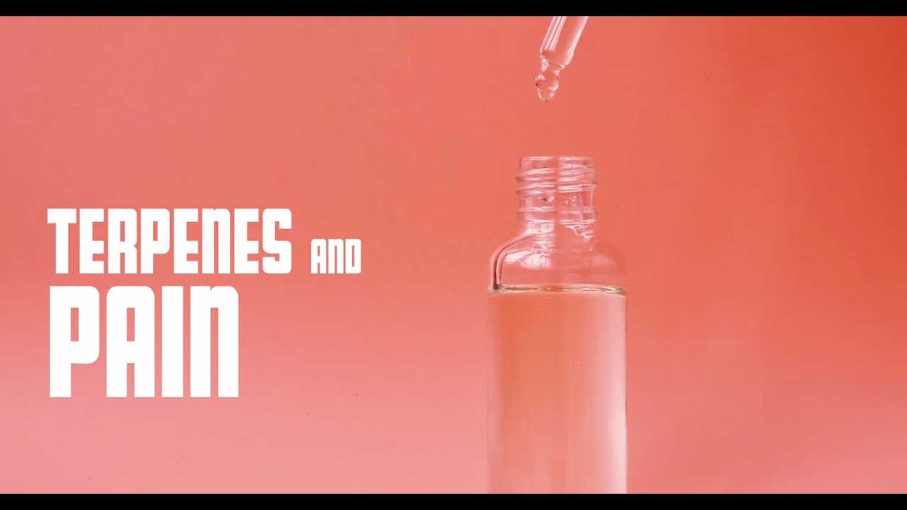 Terpenes and Pain