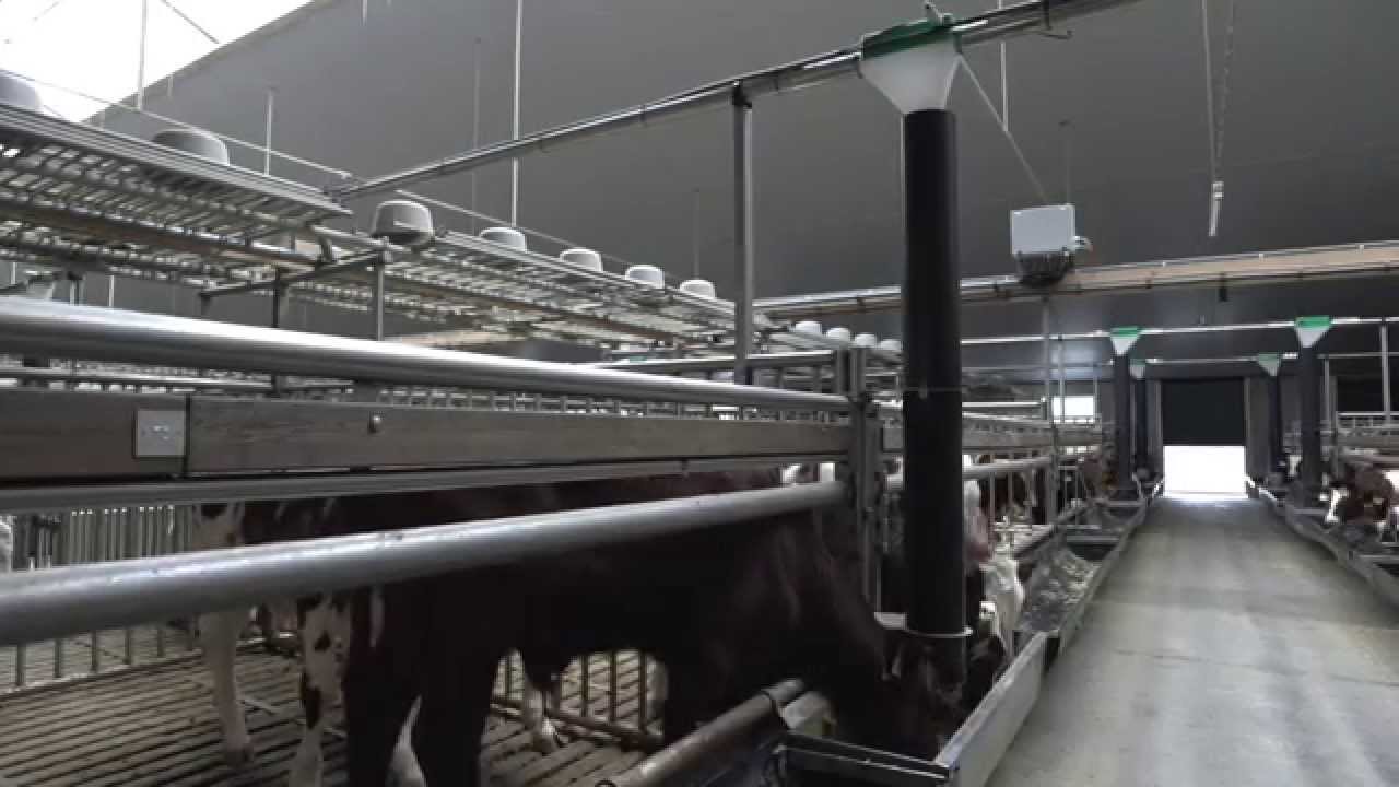 VitalFeeder automatisch voersysteem voor kalveren
