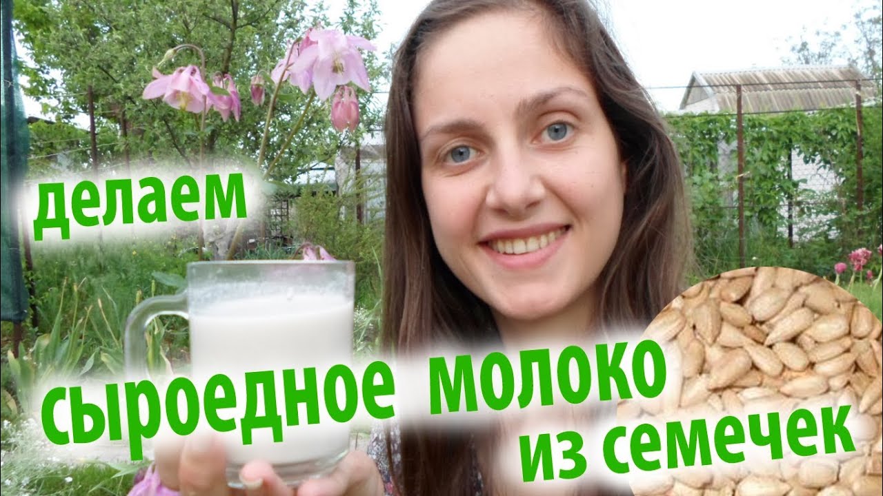 Сыроедное молоко, готовим. Сыроедение - рецепты