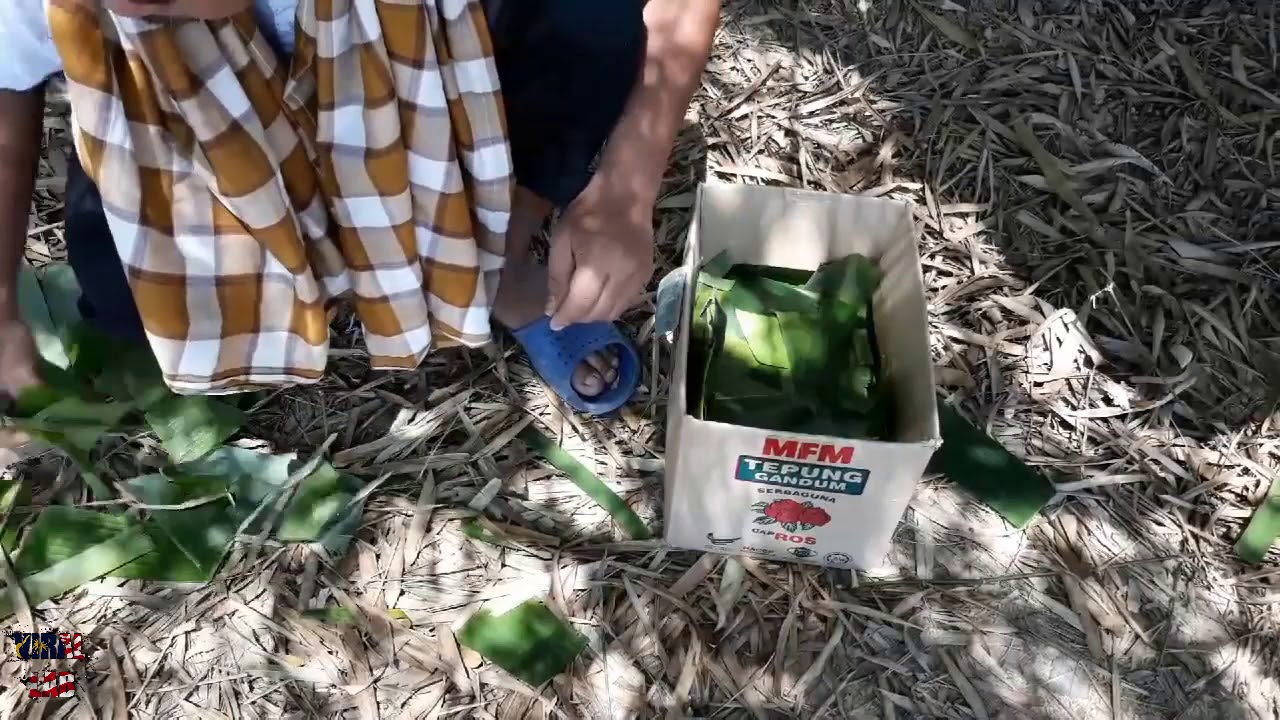 Jom Tengok Ustaz Rosdi Buat Demo Cara Tarik Duit Dari Daun... Mmg Real!!!