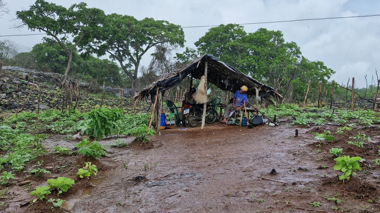 Um forte temporal de chuva🌧⛈️ na caatinga nordestina, o riacho da roça desceu com muita água ⛈️🌧