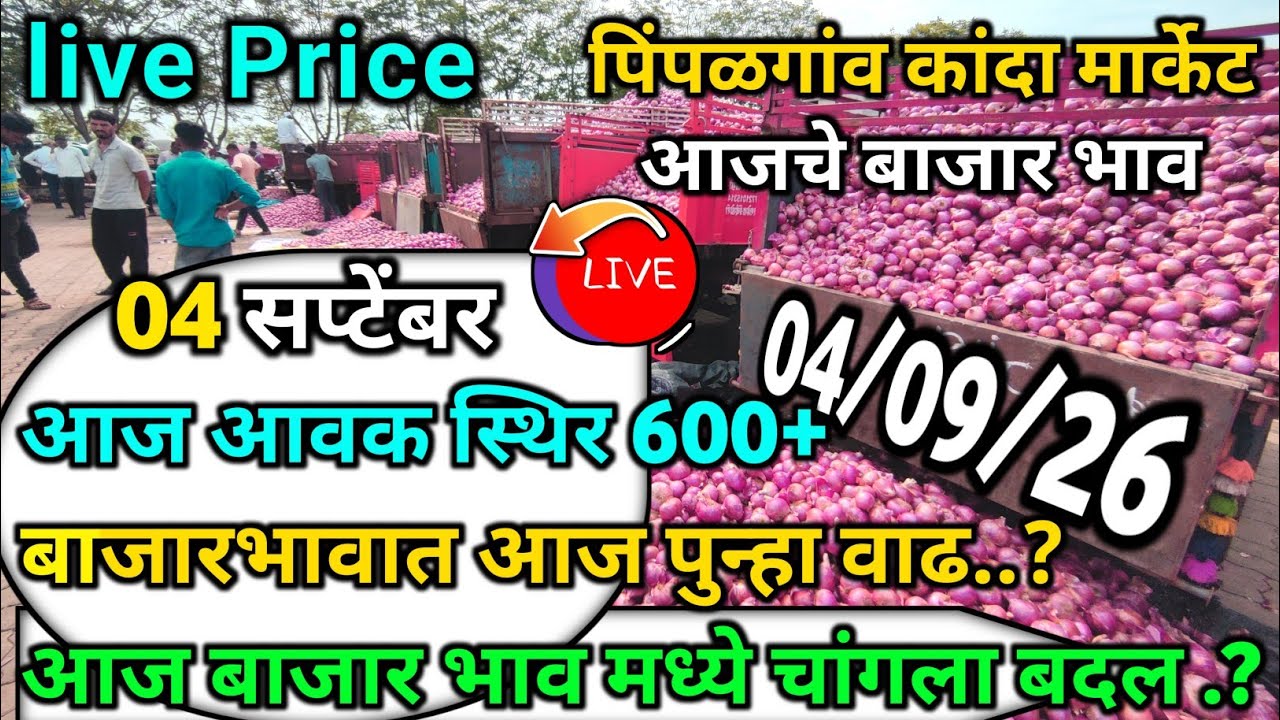 Pimpalgaon Onion Market Price Today:Latest Rates And Insights 04 September 2026
