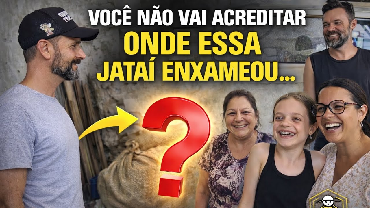 11 de fevereiro de 2026