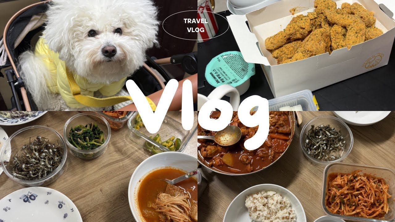 〈vlog〉韓国旅行🇰🇷 | お友達に会いに行く日♡👭