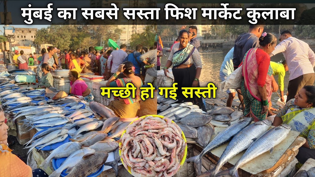 Colaba Sassoon Dock Fish Market | Colaba Wholesale Fish Market | Mumbai Colaba Fish Market