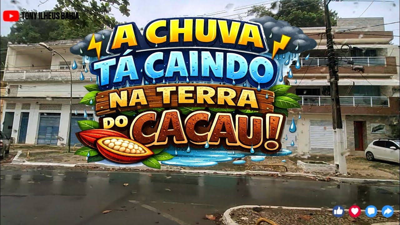 Muita Chuva no Sul da Bahia: Veja Como Está a Terra do Cacau hoje!