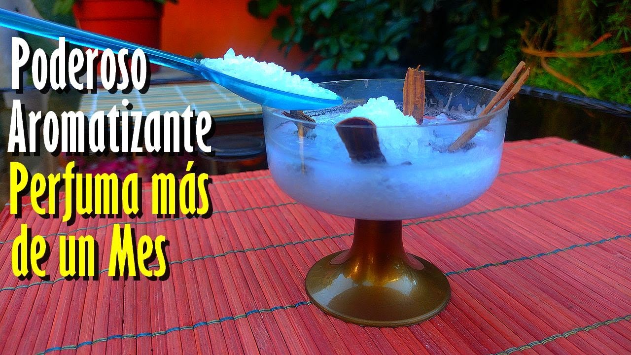 El SECRETO para que tu CASA huela RICO y esté libre de INSECTOS