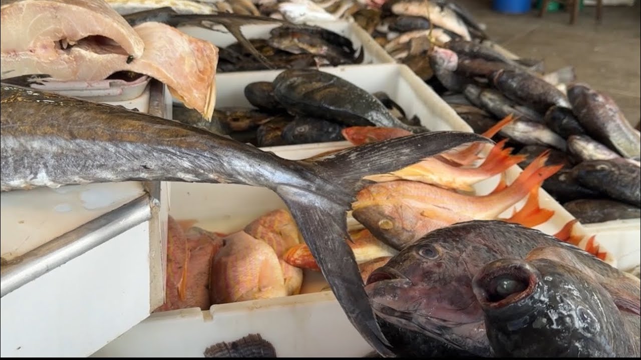 Vamos ao mercado do peixe em pacajus com nós 🙏🏻