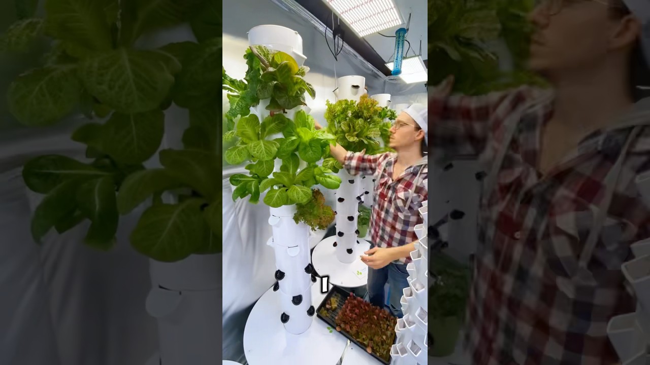FINALLY upgrading Tower Grow lights! 🌱 #towergarden #hydroponics #growlight
