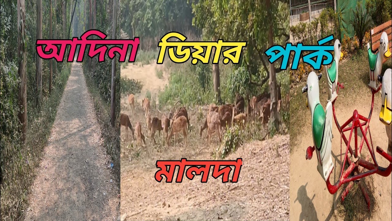 আদিনা ডিয়ার পার্ক মালদা । Adina Deer Park Malda ।