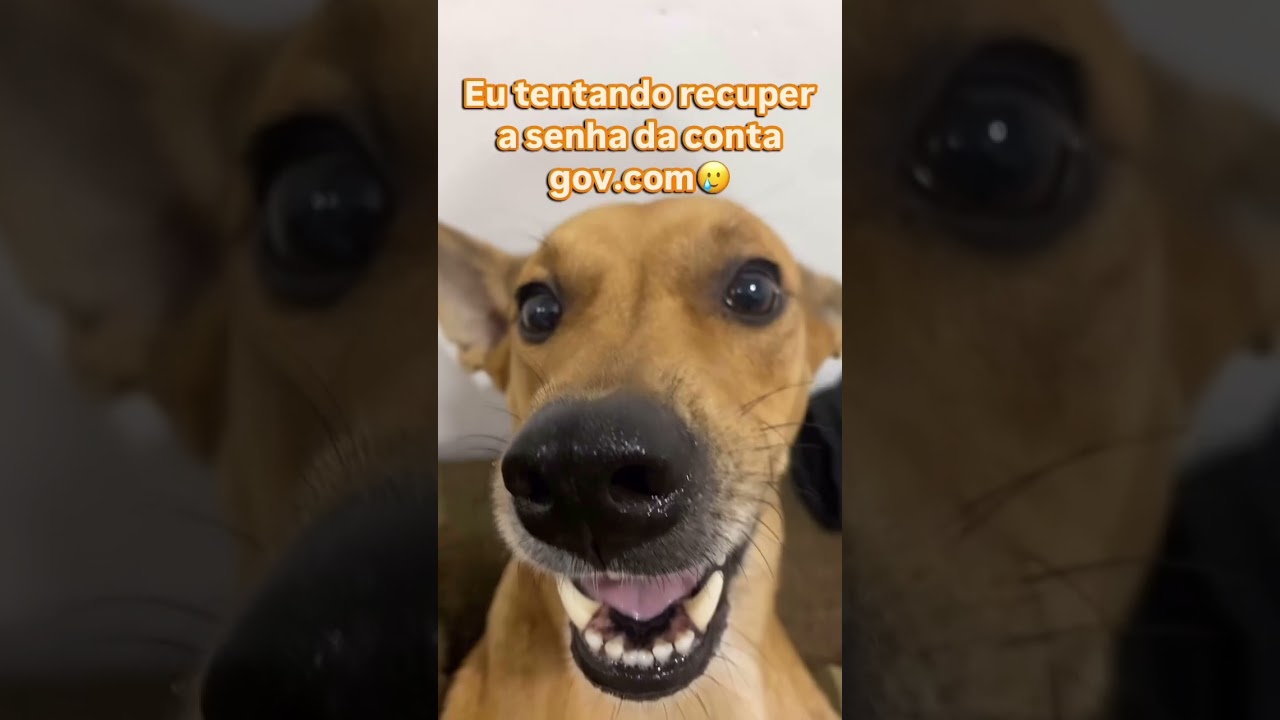 recuperar a senha da conta gov.br #govbr #advogadoprevidenciario  #memes #humor