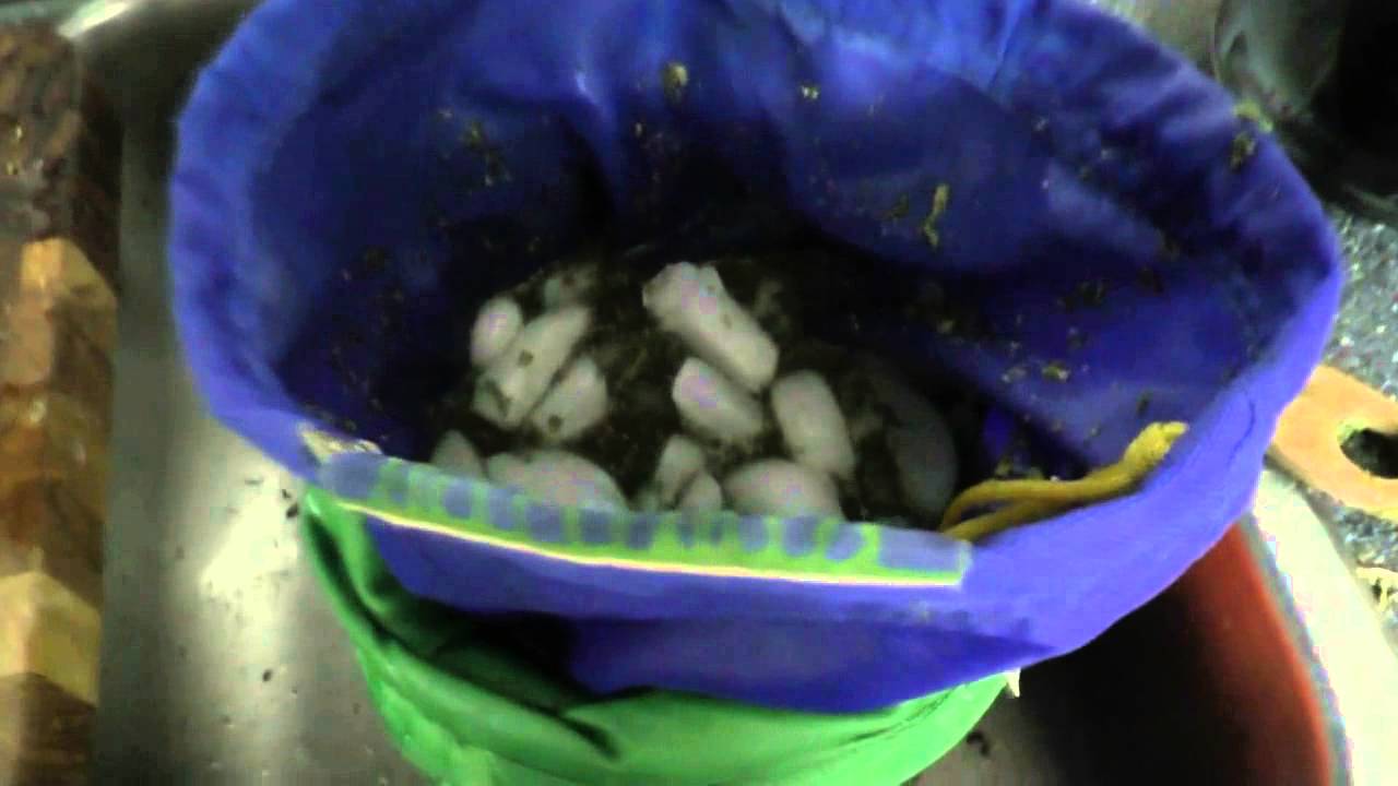 How Much  Cannabis Resin  Do You Get From 28 Grams