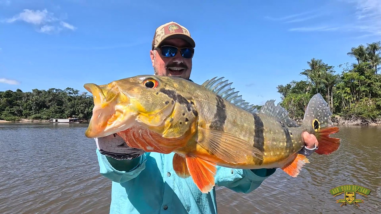 Expendables II Welcome back to the Amazon 2026 Part 2