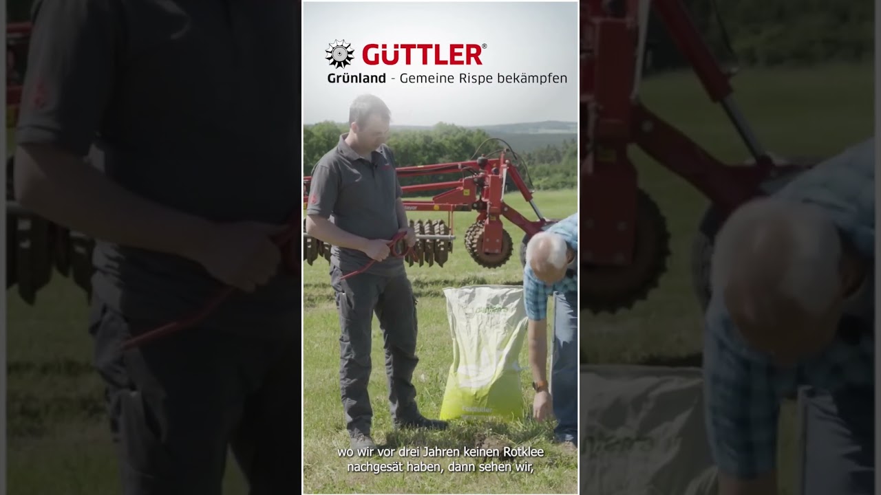 Gr&uuml;nland in Gefahr! So wirst du die Gemeine Rispe los.