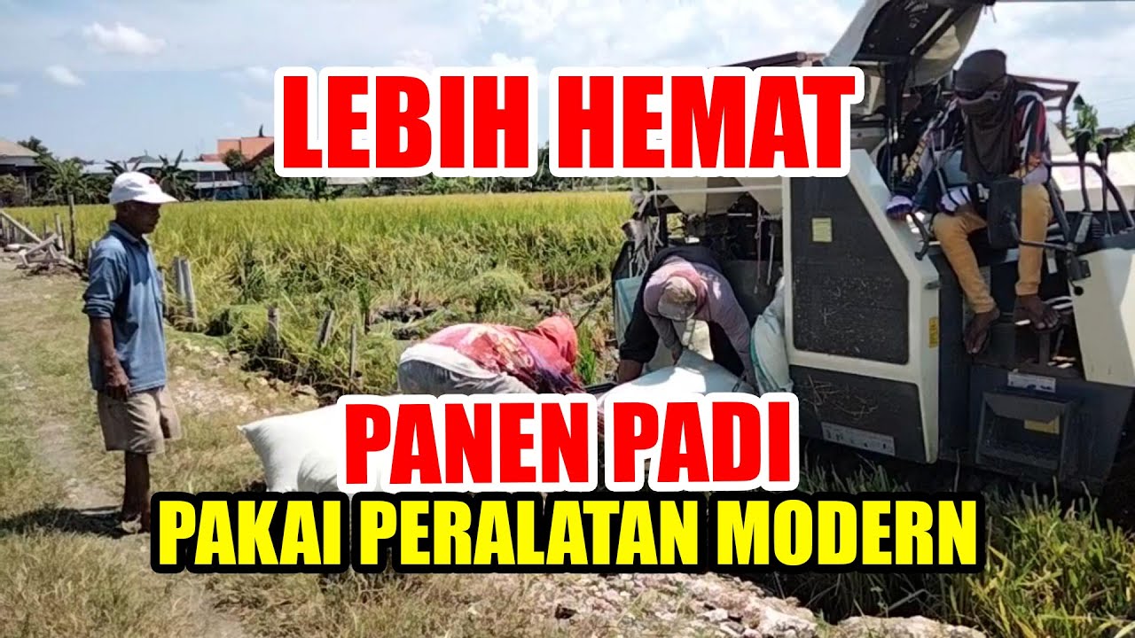 UNTUK EFIESENSI PERTANIAN SEKARANG DIPERLUKAN TEKNOLOGI MODERN UNTUK MESIN PANEN PADI