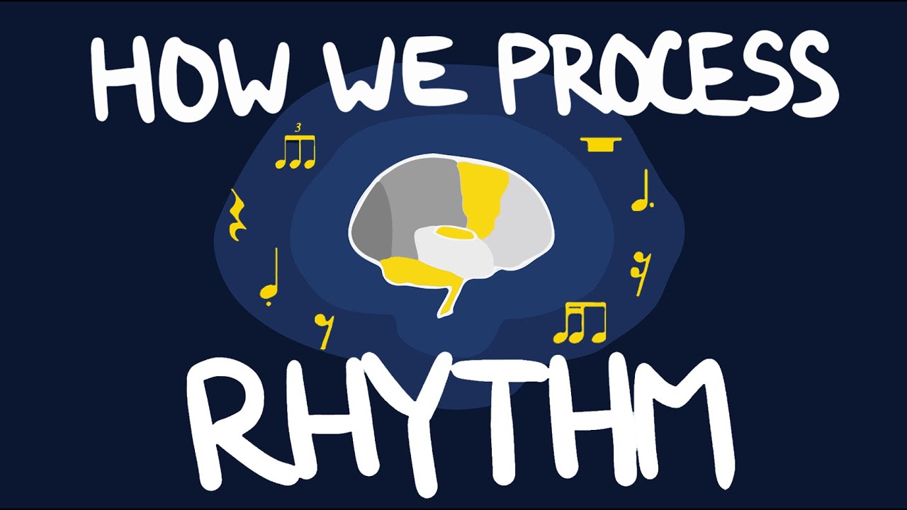 How We Process Rhythm | Neuroscience for Musicians