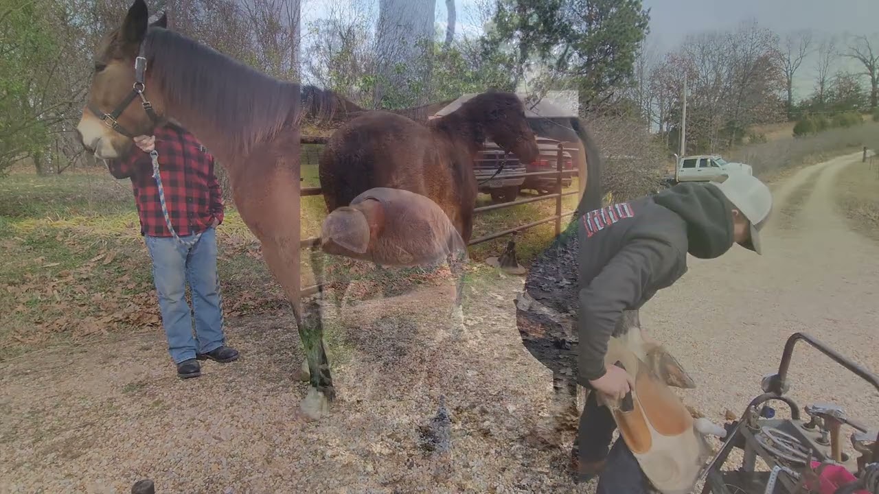 Jimbo with the farrier summer & winter 2025