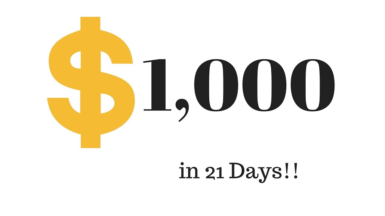 Day 21 Bitconnect Made $1000!  Which Wallet is Better?