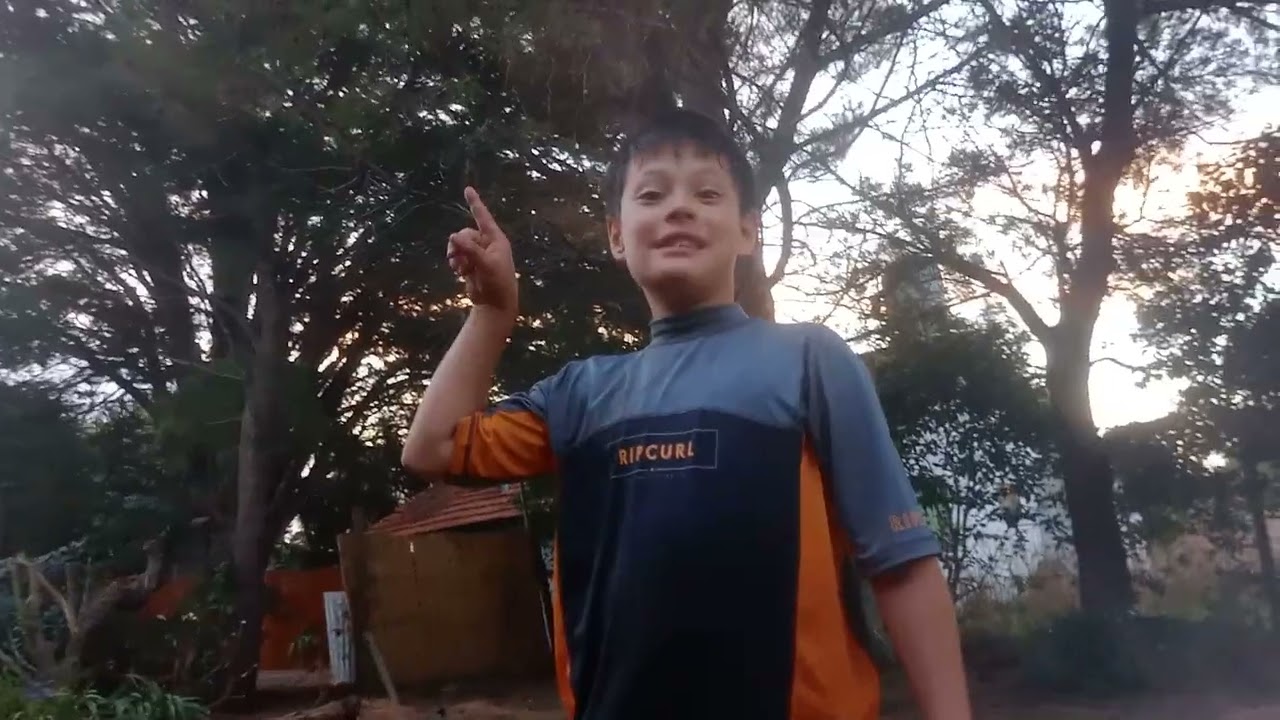 Rescate plantitas que tiraron y les doy nueva vída