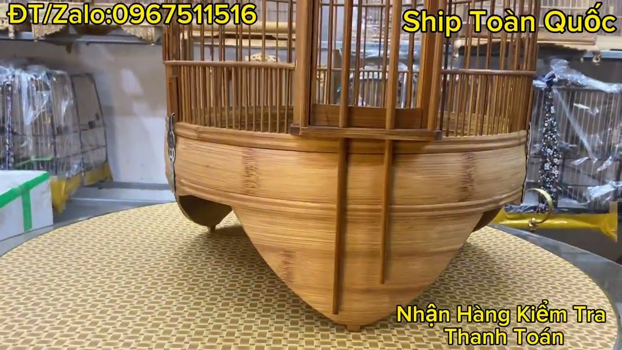 l&ocirc;ng chim hoạ mi ch&uacute;c gi&agrave; sử l&yacute;/900k