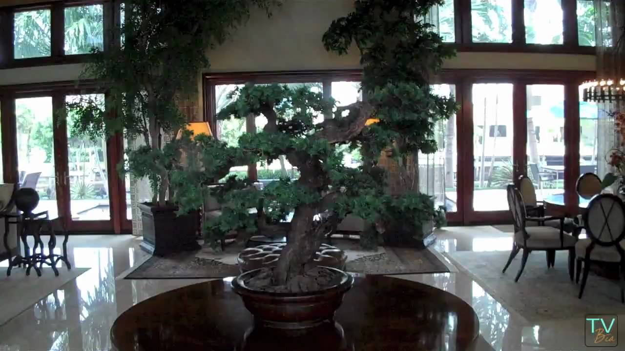 Casa na Florida em Boca Raton por U$5,900,000 com acesso ao mar (2/4) tvBia.com