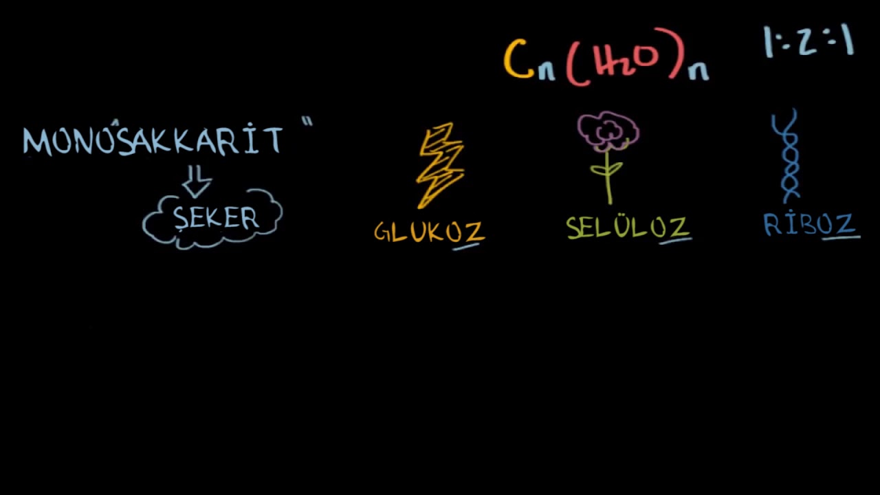 Karbonhidratlar: İsimlendirme ve Sınıflandırma (Fen Bilimleri) (Biyoloji)  (Kimya)