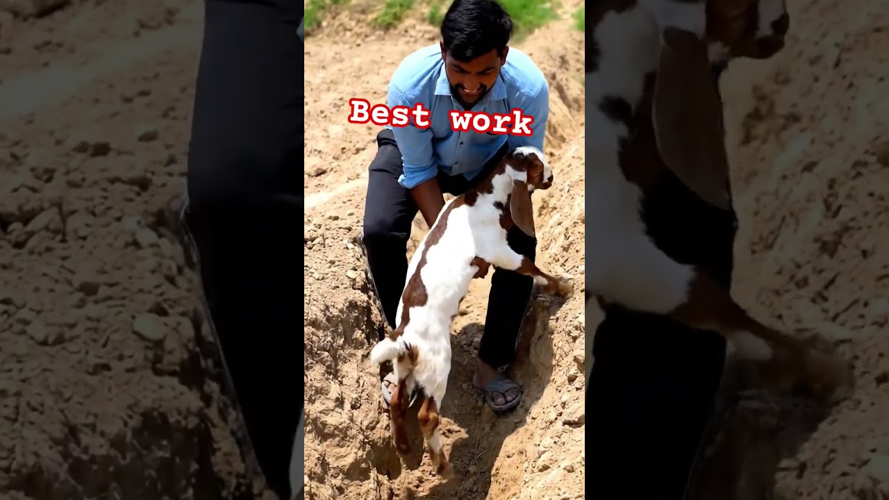 best work 
