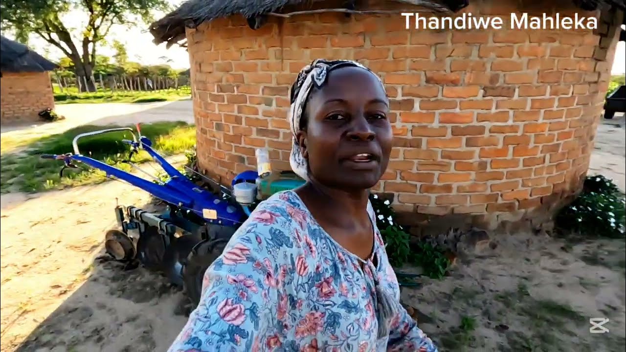 Zimbabwe Village lifestyle be like this. Raining Season