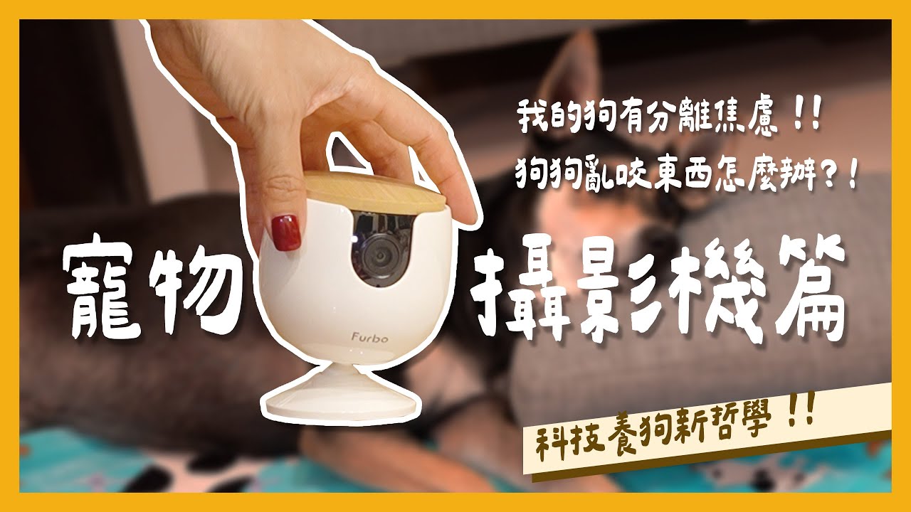 狗狗也有 AI 保母？！📡🐾 遠端監控+零食投放，養出你的乖狗狗！｜自己打造乖狗狗全新篇章【科技養狗新哲學】｜PressPlay Academy｜feat. @FurboPetCamera 寵物攝影機