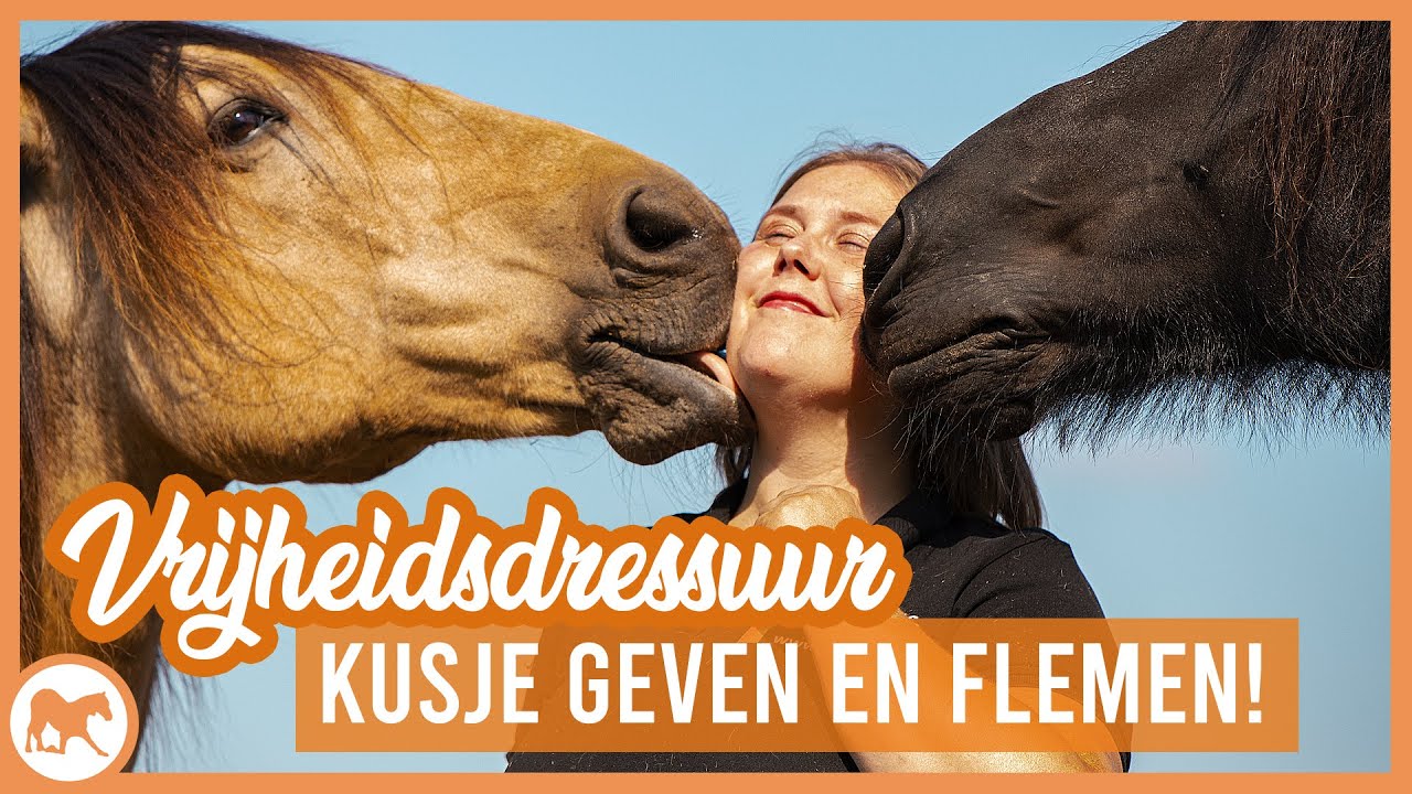 Vrijheidsdressuur | Leren kusje geven en flemen!