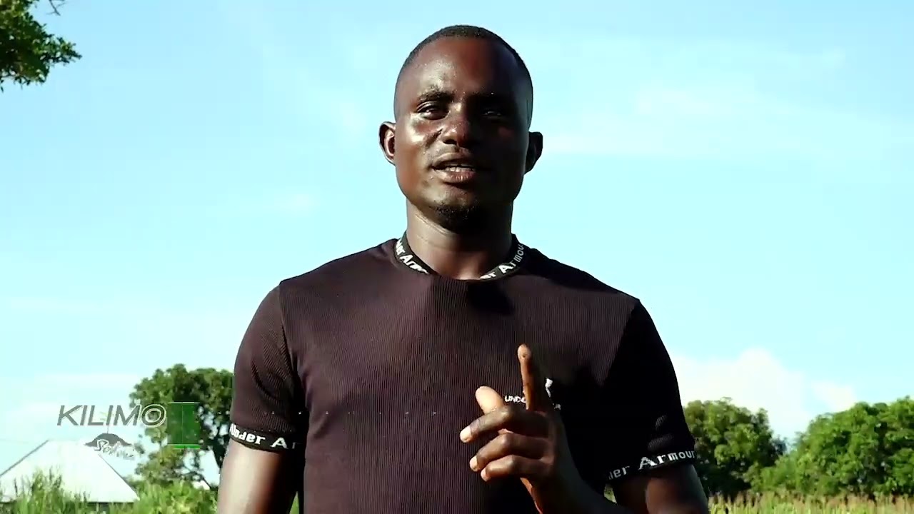 HII NI SABABU YA KWANINI ULIME KILIMO CHA BAMIA