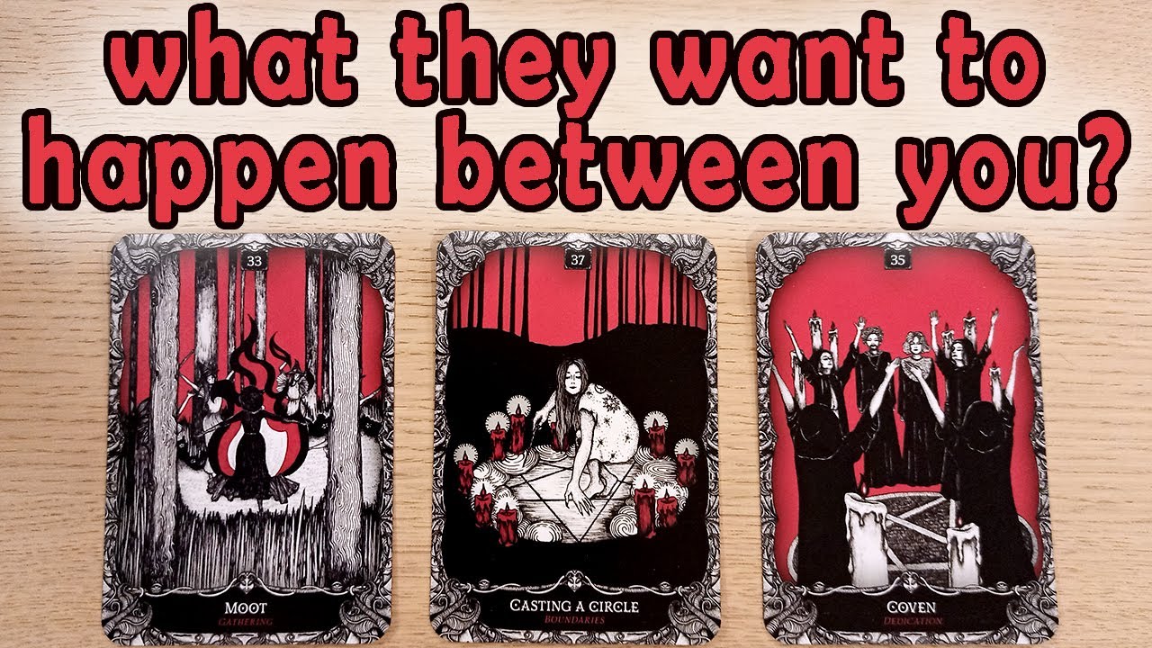 WHAT DO THEY WANT TO HAPPEN BETWEEN YOU?!  PICK A CARD TIMELESS TAROT READING