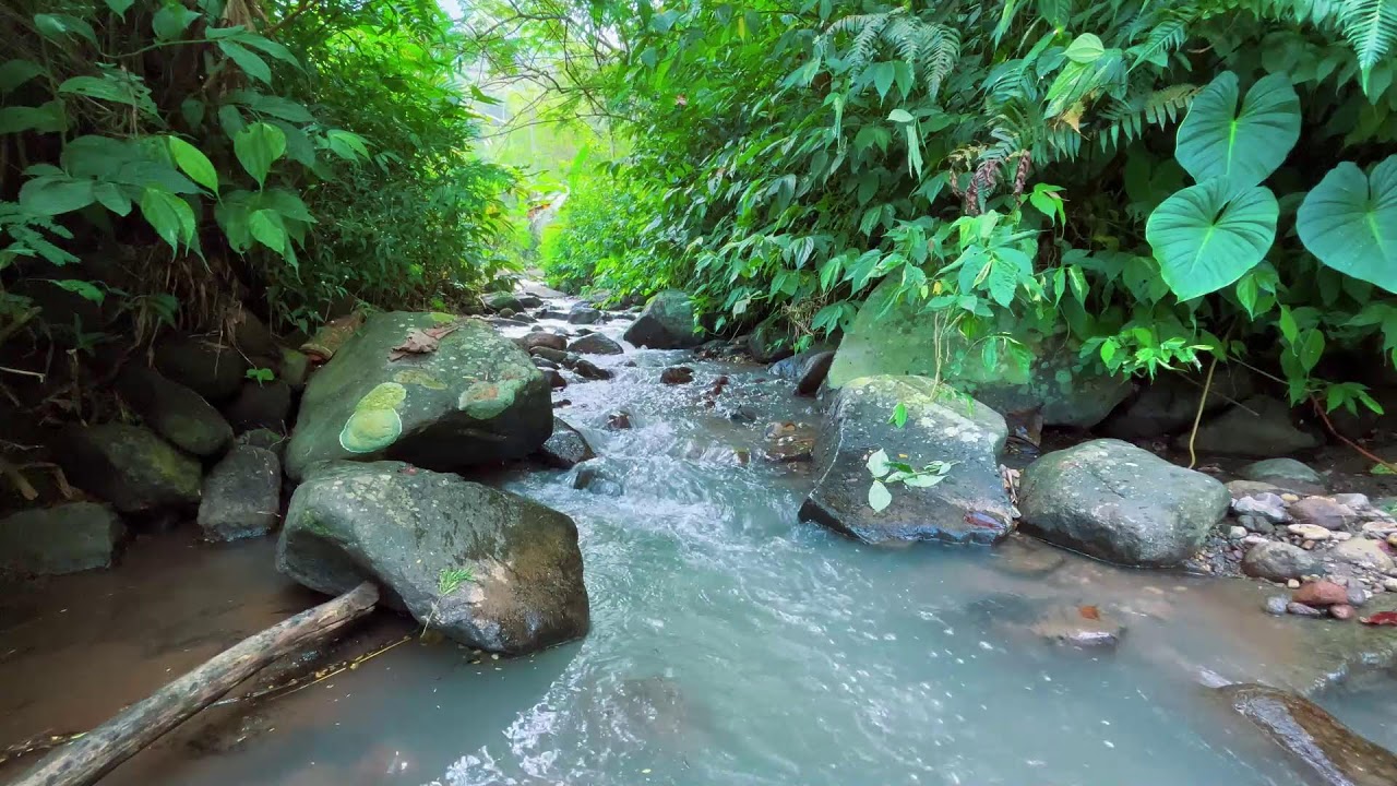 No Music - Constant Natural Water Sounds for 10 Hours