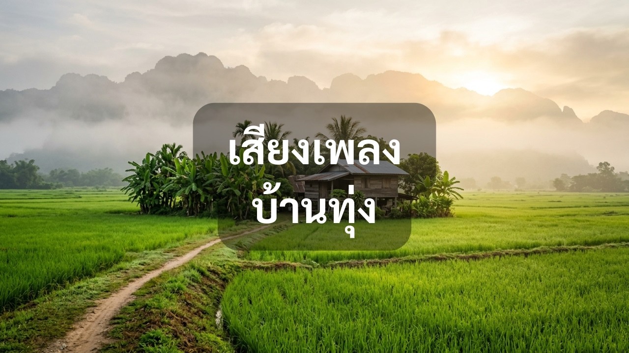 3 ชั่วโมง ดนตรีบรรเลงฟังสบาย บ้านน้อยกลางทุ่งและสายหมอก | Relaxing Morning Music
