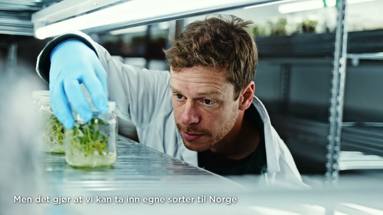 Bjærtnes og Hoels småpoteter gjør det lett å lykkes på kjøkkenet - Matskatter i MENY