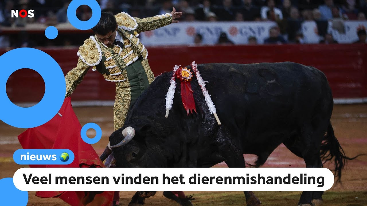 Stierenvechten na twee jaar terug in Mexico