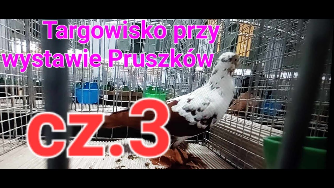 Targowisko przy wystawie Pruszków cz.3