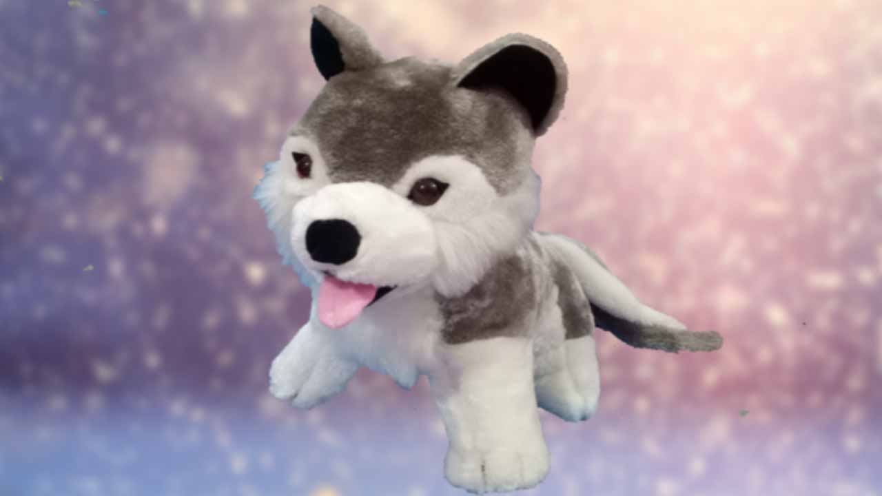 soft toy syberian husky dog making tutorial | how to make syberian husky dog plushie in easy way
