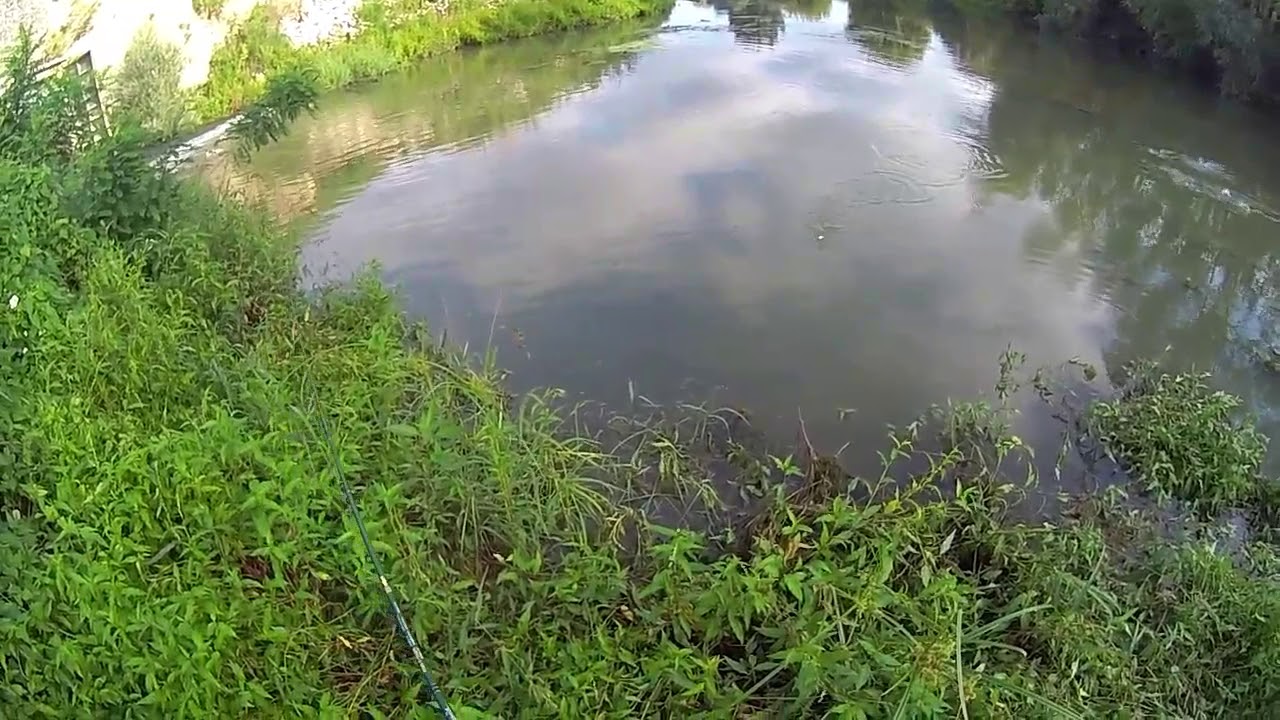 Siluro a spinning top water.#bernymax