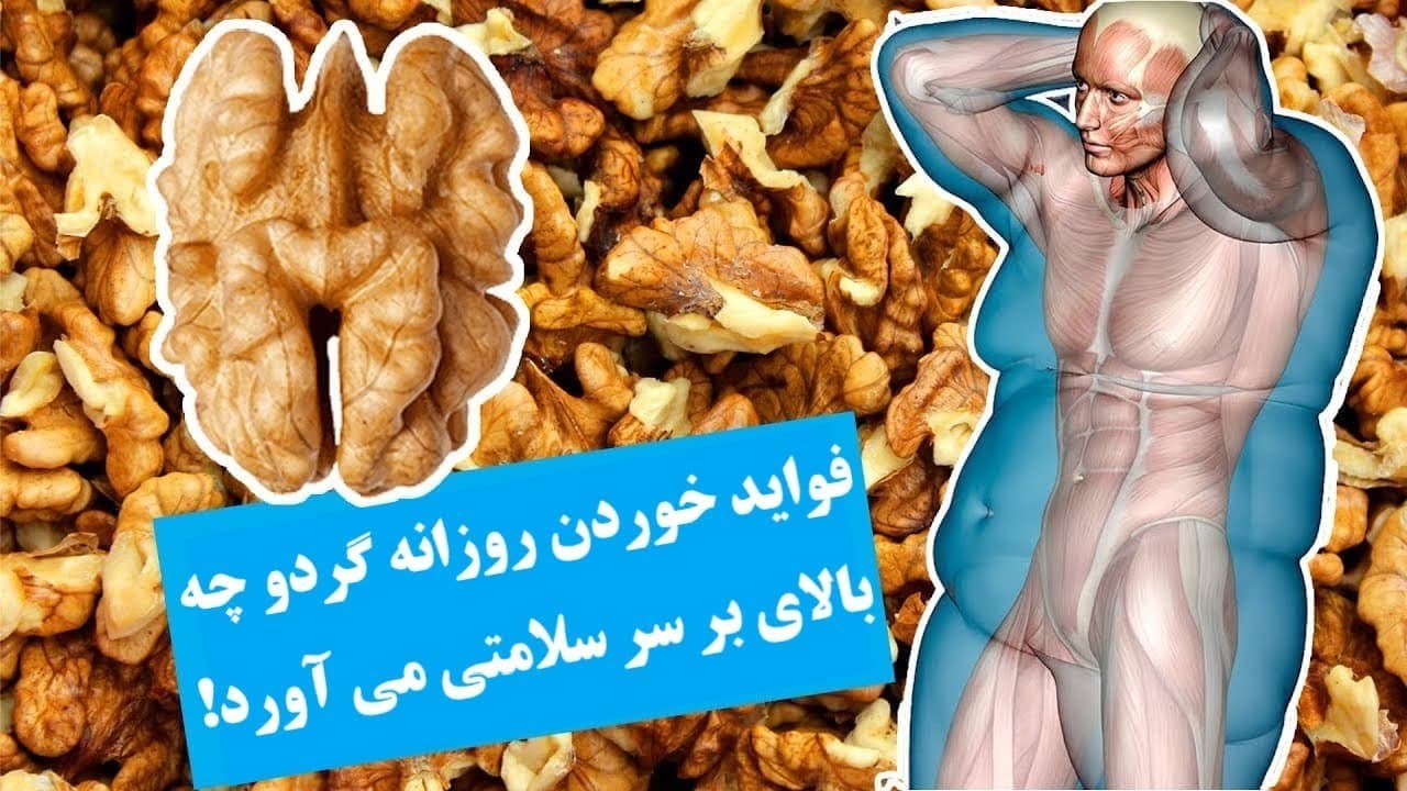 خوردن روزانه یه ذره گردو و نتیجه ان!