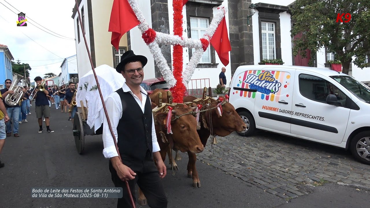 BODO LEITE das Festas de Santo António da Vila de São Mateus-Terceira (2025-08-10)