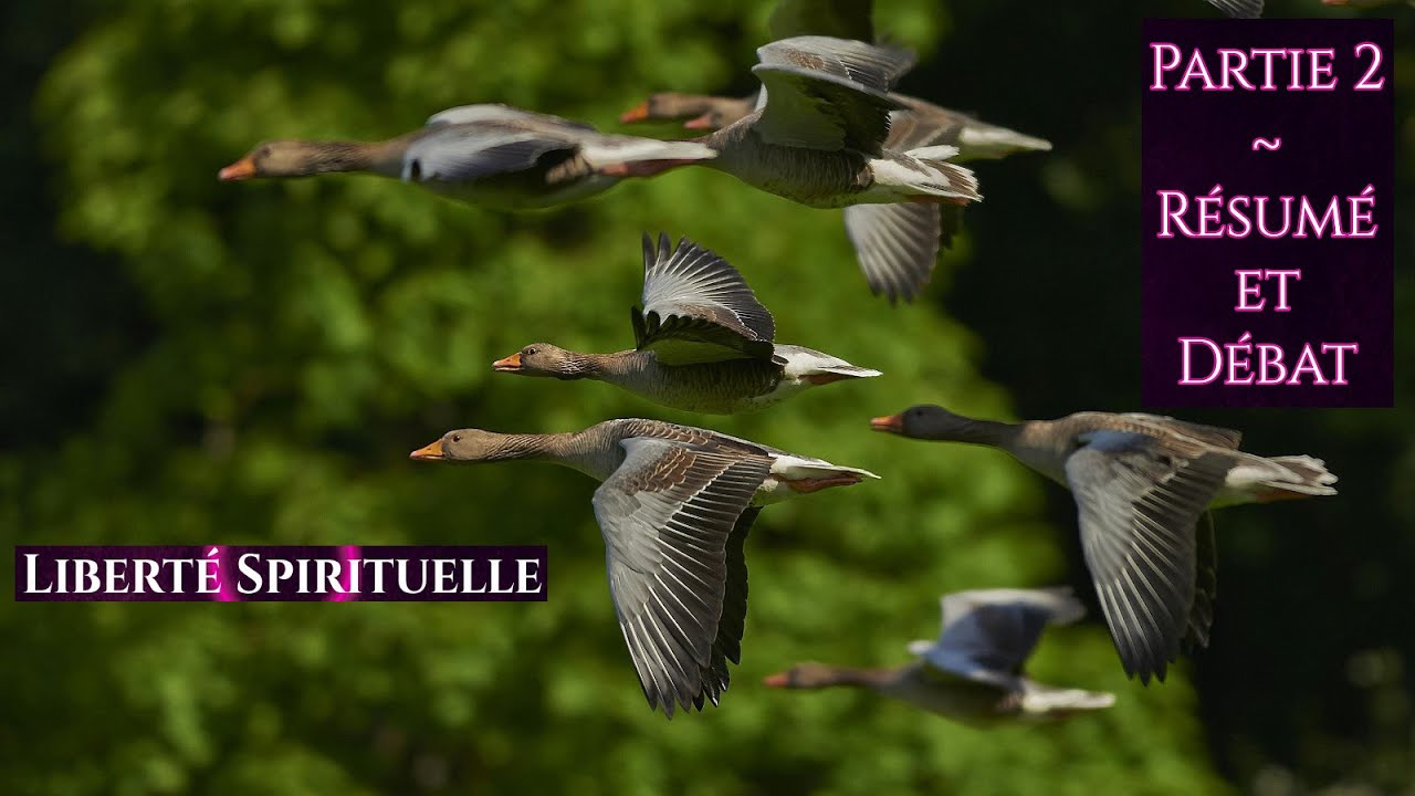 Liberté Spirituelle - Partie 2