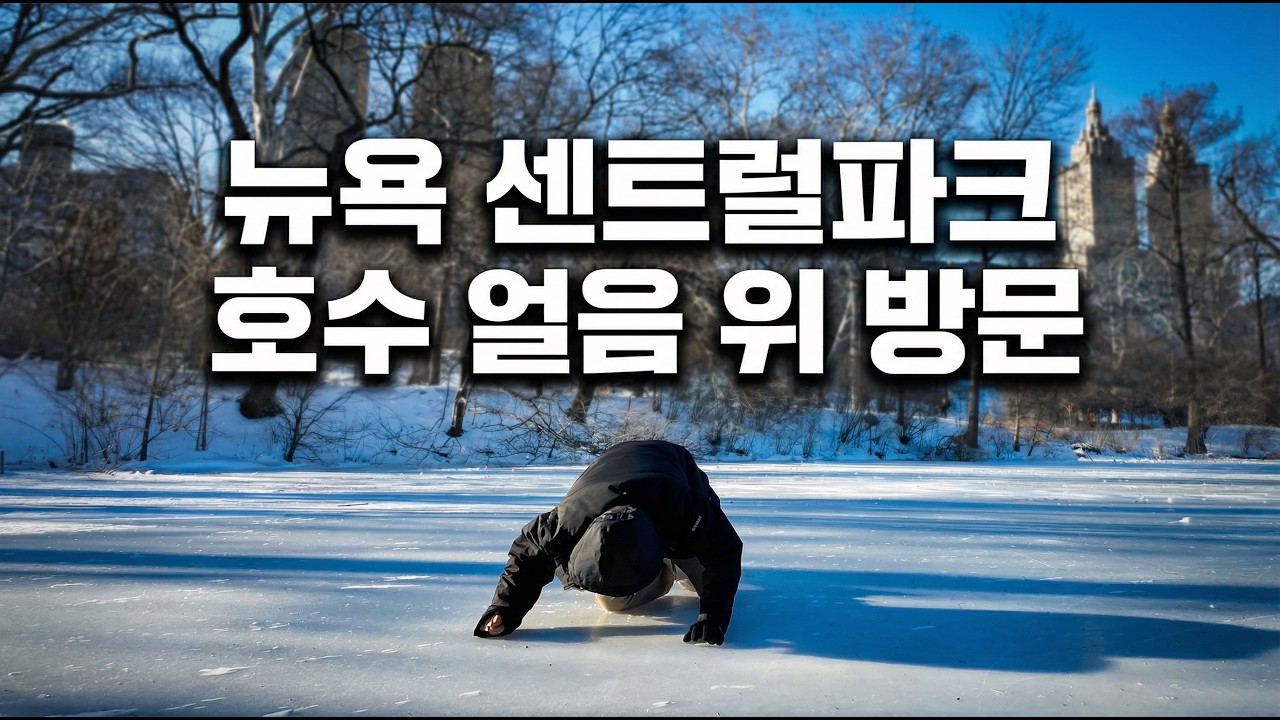 뉴욕 센트럴파크 호수 얼음위에 올라가봤습니다