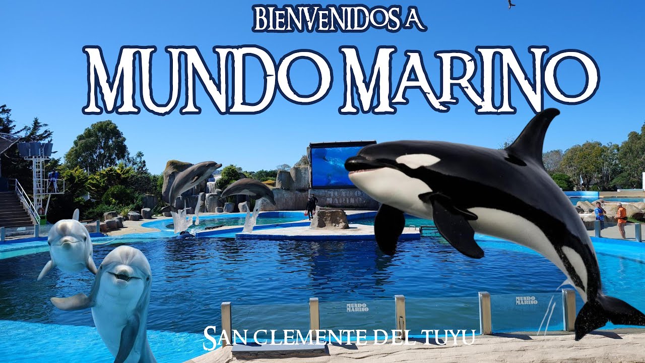 MUNDO MARINO: la aventura marina más grande del país 🐋
